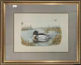 Merganser on the water by Carl Donner, 1977, watercolour and gouache, offered Dec 2025