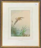 Study of a Snipe by Roland Green, watercolour, sold Dec 2025