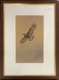 Study of an Eagle in flight by Roland Green, gouache, sold Dec 2025