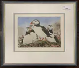 Fetlar Puffins by Timothy John Greenwood, etching, sold Dec 2025