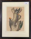Study of the Spotted Woodpecker by Johann Friedrich Naumann, lithograph, sold Dec 2025