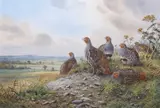 Partridge at rest by Carl Donner, watercolour and gouache, sold Nov 2025