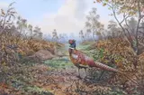 Pheasants in an autumnal landscape by Carl Donner, watercolour and gouache, sold Nov 2025