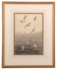 Black-headed gulls at sea by John Cyril Harrison, watercolour and gouache, sold Nov 2025