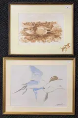 Wigeon by Simon Trinder, watercolour, sold Nov 2025