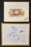 Wigeon by Simon Trinder, watercolour, sold Nov 2025