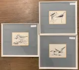Untitled by Robert Gillmor, ink, sold Nov 2025