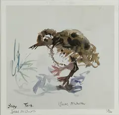 Baby Tern by Ishbel McWhirter, print, sold Jun 2026