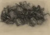 Flowers by Michael Crowther, charcoal on paper, offered Jun 2026