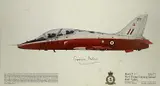 Colour print - Hawk T by Dugald Cameron, print, sold May 2026