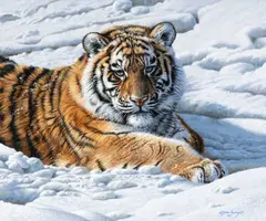 Untitled by Steve Burgess, oil on board, sold May 2026