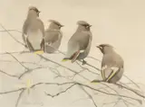 Untitled by Darren Rees, watercolour, offered May 2026