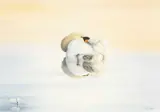 Untitled by Colin Woolf, 2006, watercolour, offered May 2026