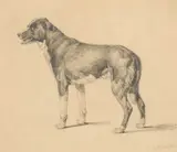 Untitled by Edward Duncan, pencil, sold May 2026