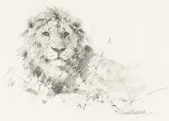 On Halcyon Galley label by David Shepherd, pencil, sold May 2026