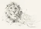 On Halcyon Galley label by David Shepherd, pencil, sold May 2026