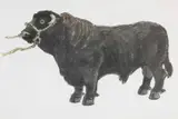 Untitled by Kyffin Williams, lithograph, sold May 2026