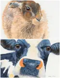 Untitled by Clare Crush, watercolour, offered Apr 2026