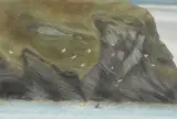 Clarach Beach, Windy Day, Ceredigion by Alistair Crawford, mixed media, sold Apr 2026