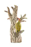 Freestanding stoneware ceramic - anatomical study of a woodpecker on by Neil Dalrymple, 2010, sculpture, sold Apr 2026