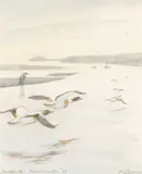 Shellduck, Malltraeth by Philip Snow, watercolour, offered Mar 2026