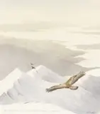 Ben Cruachan to Mull, Golden eagle & ravens by Philip Snow, watercolour, sold Mar 2026