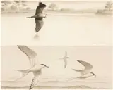 Original book illustration for p by Philip Snow, watercolour, sold Mar 2026