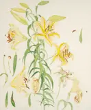 Limited edition by Elizabeth Blackadder Rsa Rsw Rgi D.Litt, screenprint, sold Mar 2026