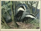 Limited edition by Charles Frederick Tunnicliffe, print, sold Mar 2026