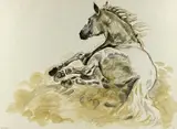 Andalusian Roll by Jennifer Brereton artist's proof, print, sold Feb 2026