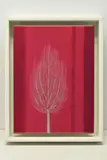 Ruby sky ii by Nakisa Seika, acrylic on board, sold Jun 2024