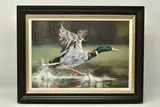 On your marks by Debbie Boon, print on board, sold Jun 2024