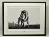 Hunter by Anup Shah, print, sold Jun 2024