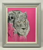 Lion head study on magenta by Stephen Ford, 2021, oil on board, offered May 2024