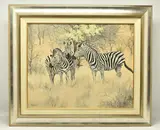 Zebra and yellow thorn by Ted Hoefsloot, oil on canvas board, sold May 2024
