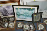 Fourteen watercolour studies of birds by Janet Whittaker, WATERCOLOUR, sold May 2024