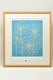 Allium by Abigail McLellan, giclee, offered Apr 2024