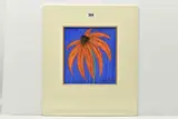 Echinacea / coneflower by Kelly Jane, pastel on paper, sold Apr 2024