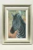 Young zebra by Rolf Harris, print, sold Apr 2024