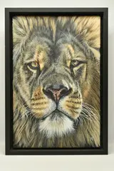 Lions gaze by Gina Hawkshaw, oil on canvas, sold Mar 2024
