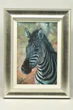Young zebra by Rolf Harris, print on board, sold Mar 2024