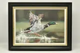 On your marks by Debbie Boon, print on board, sold Mar 2024