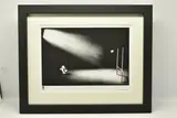 Nerves of steel by Doug Hyde, print on paper, sold Mar 2024