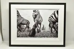 Onward by Anup Shah, print, sold Mar 2024
