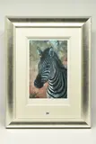 Young zebra by Rolf Harris, print, sold Feb 2024