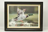 On your marks by Debbie Boon, print on board, sold Feb 2024