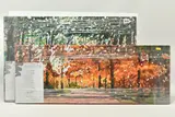 Comprising ' by Timmy Mallett, oil, sold Jan 2024