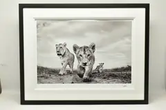 On the move by Anup Shah, print, sold Jan 2024