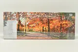 Woodland walk by Timmy Mallett, print, sold Nov 2023