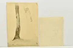 A botanical pencil sketch by Cornelius Varley, 1801, PENCIL, sold Oct 2023